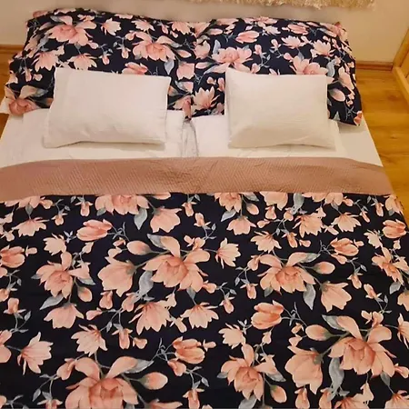 Zebra Apartman *