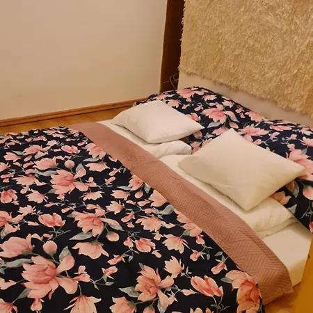 Zebra Apartman Szeged