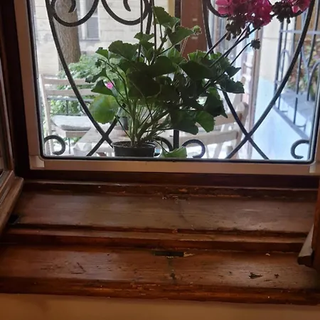 Apartman Zebra Szeged